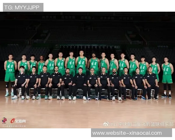 1月17日辽宁队对阵吉林队精彩赛事回顾与分析