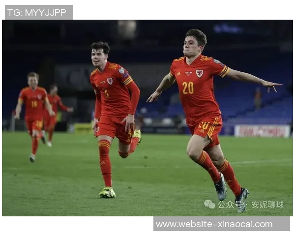 土耳其与冰岛激战正酣文字直播全程回顾与精彩瞬间分析