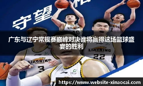 新澳彩24码