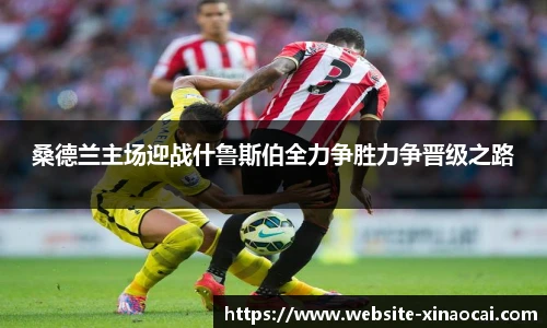 桑德兰主场迎战什鲁斯伯全力争胜力争晋级之路