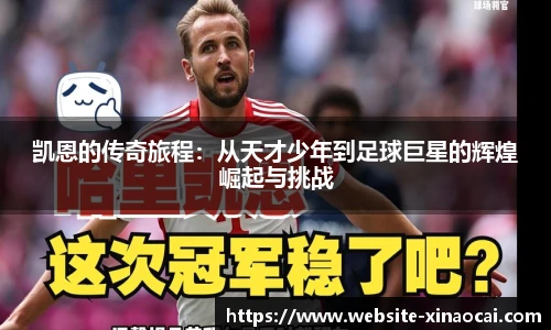 新澳彩公式