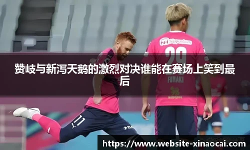 赞岐与新泻天鹅的激烈对决谁能在赛场上笑到最后