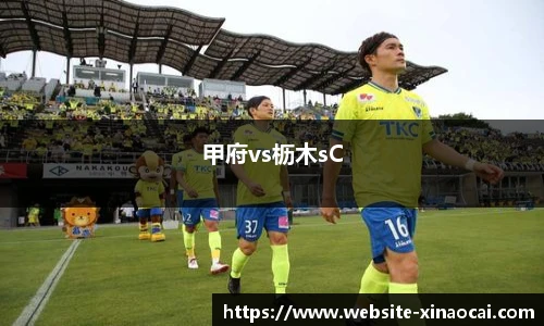 甲府vs枥木sC